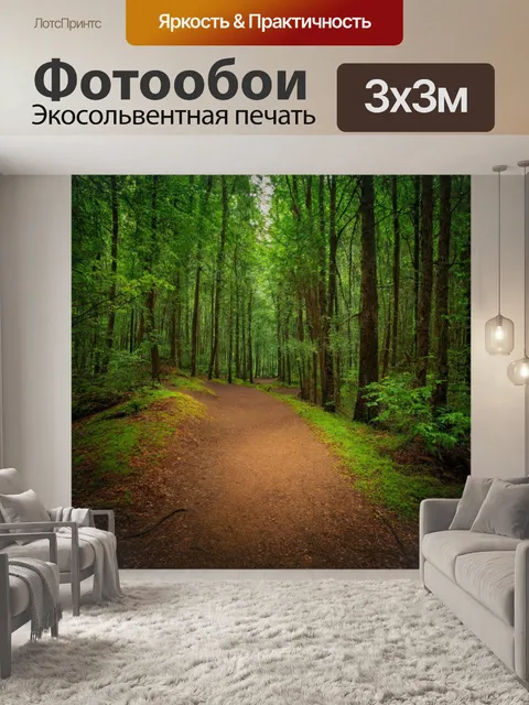 Фотообои лес с завуалированной глубиной и прелестными тропами