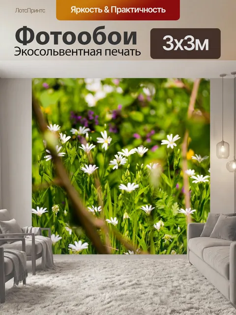Фотообои Цветы