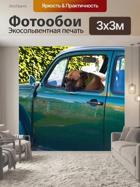 Фотообои Собака