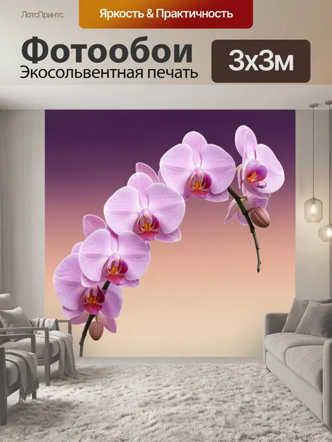 Фотообои Лиловые орхидеи на градиентном фоне