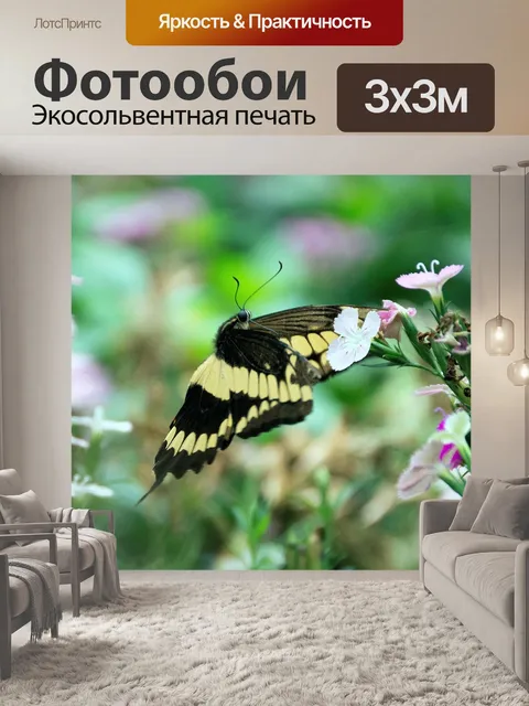 Фотообои Парусники бабочки