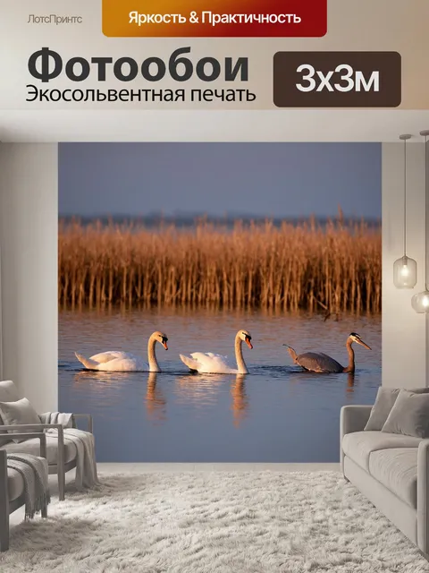 Фотообои охота: спокойный озерный пейзаж на закате