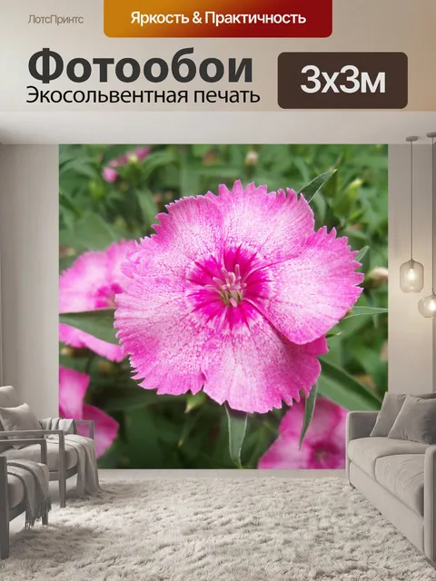 Фотообои Цветок