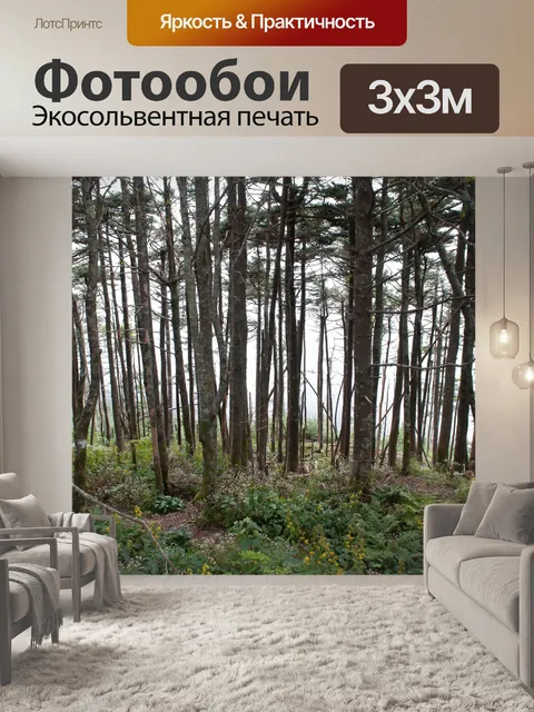Фотообои Густой лес