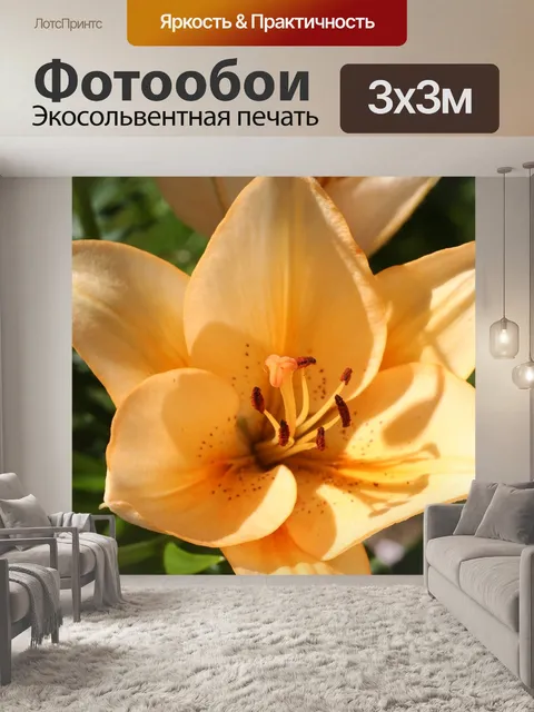 Фотообои Цветы