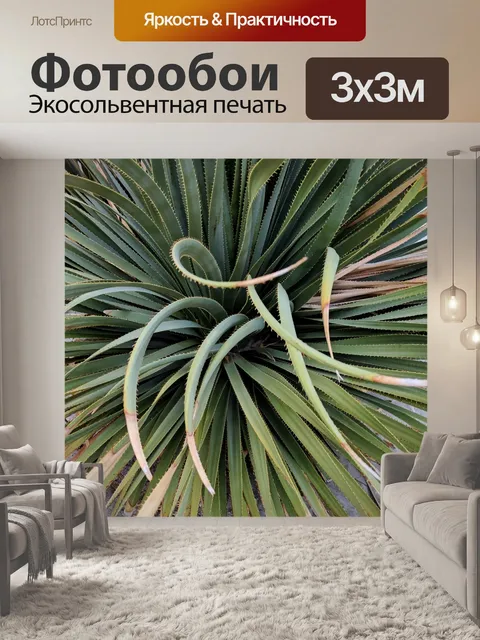 Фотообои Растение