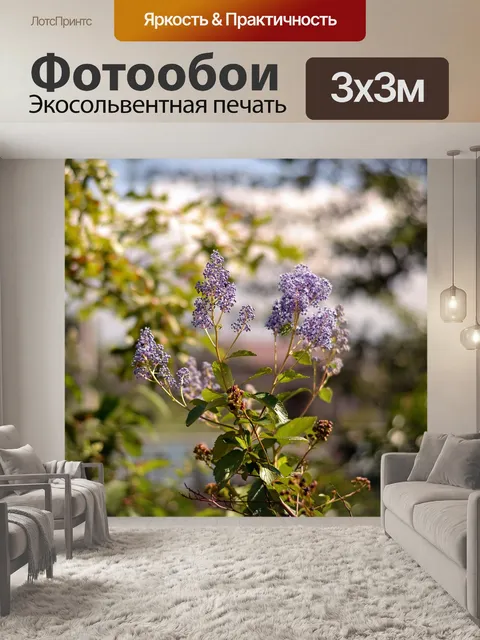 Фотообои Цветы