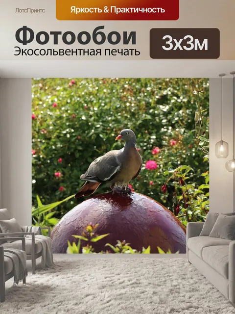 Фотообои Птица