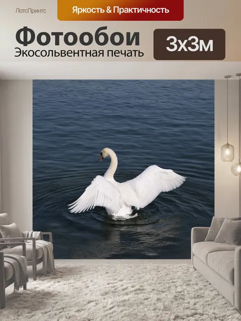 Фотообои Птицы