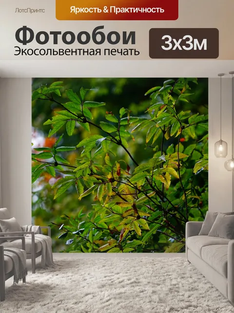 Фотообои Листья