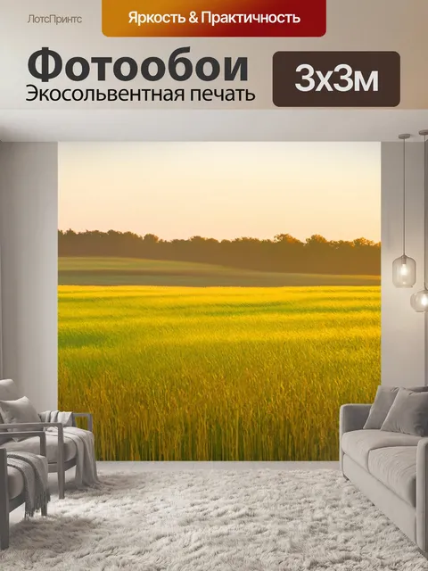Фотообои поле, погруженное в краски раннего утра, освещённые первыми солнечными лучами
