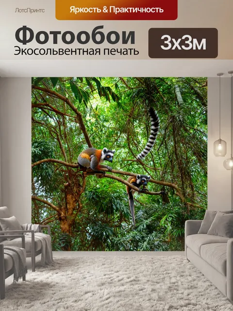 Фотообои тропическая селезенка