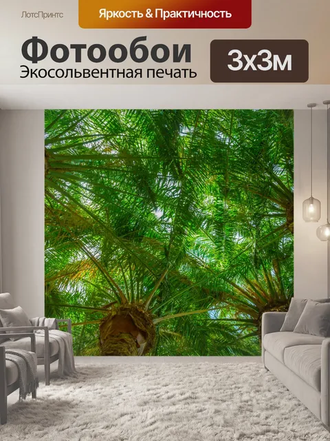 Фотообои навес пальмы