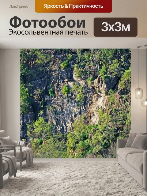 Фотообои растительность против скалы