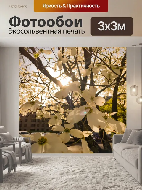Фотообои Природа