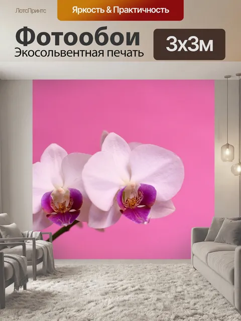 Фотообои Орхидея