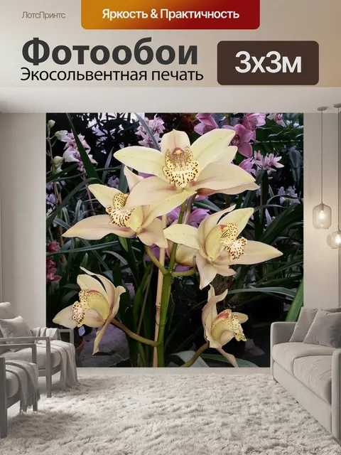 Фотообои Орхидеи