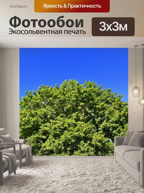 Фотообои Дерево