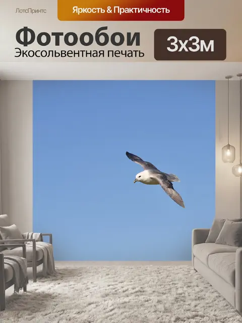 Фотообои Птица