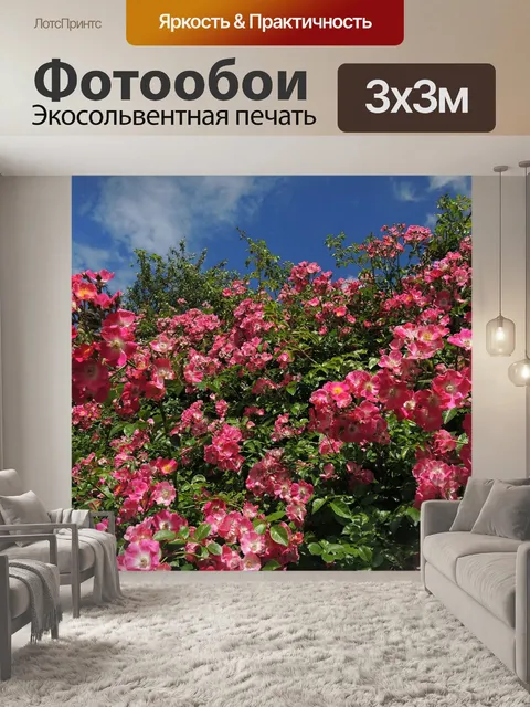 Фотообои Розы