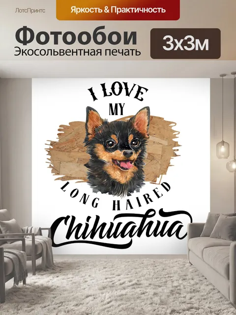 Фотообои Плакат с собакой чихуахуа
