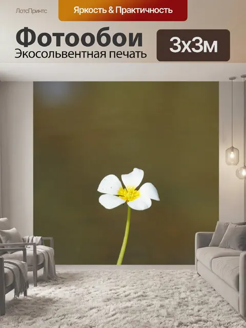 Фотообои Цветок