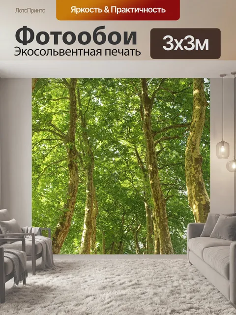 Фотообои Каштаны