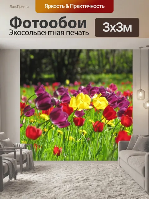 Фотообои Тюльпаны
