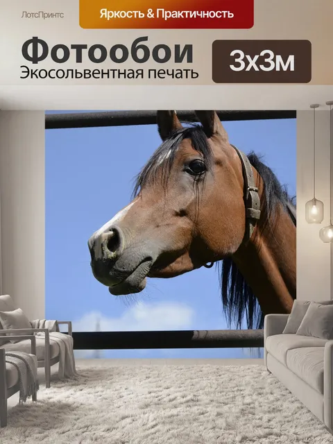 Фотообои Природа
