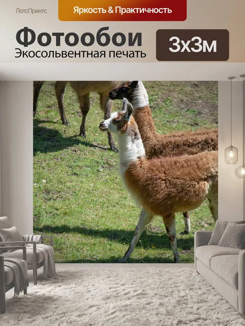 Фотообои Лам