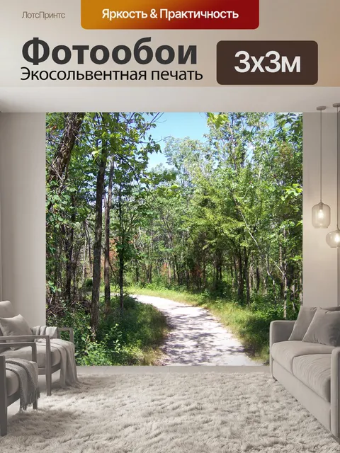 Фотообои Путь через леса