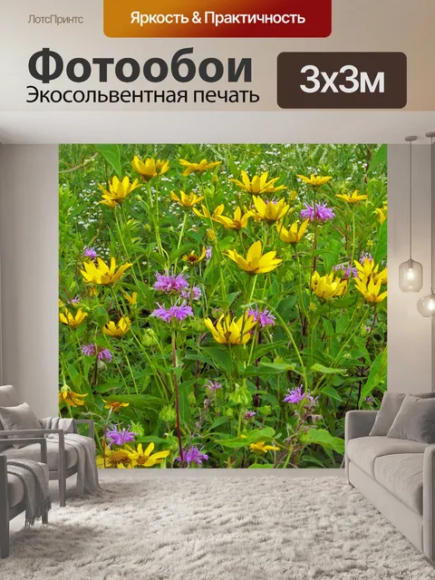 Фотообои Полевые цветы и сорняки