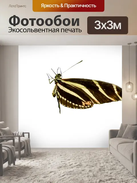 Фотообои Бабочка