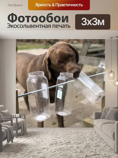 Фотообои Собака