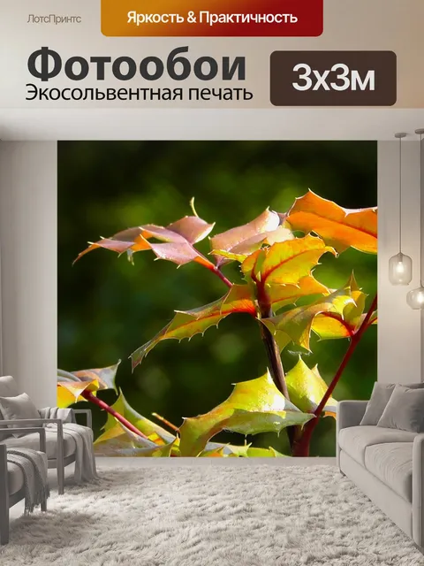 Фотообои Лист
