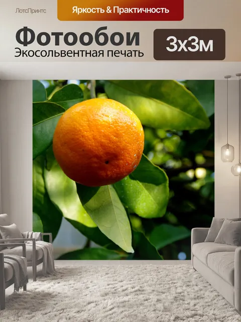 Фотообои Мандарин растет на дереве