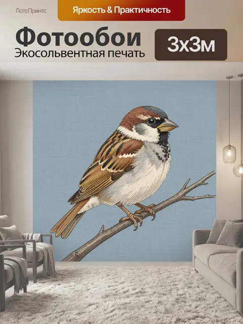 Фотообои Воробей на ветке