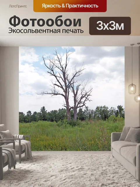 Фотообои Мертвые деревья
