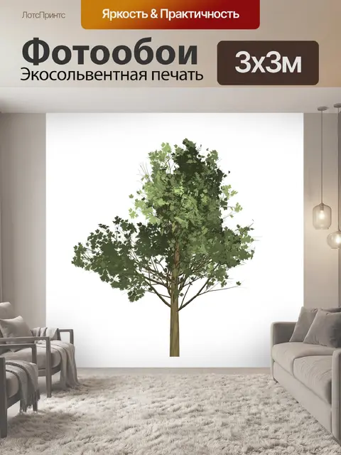 Фотообои Клен