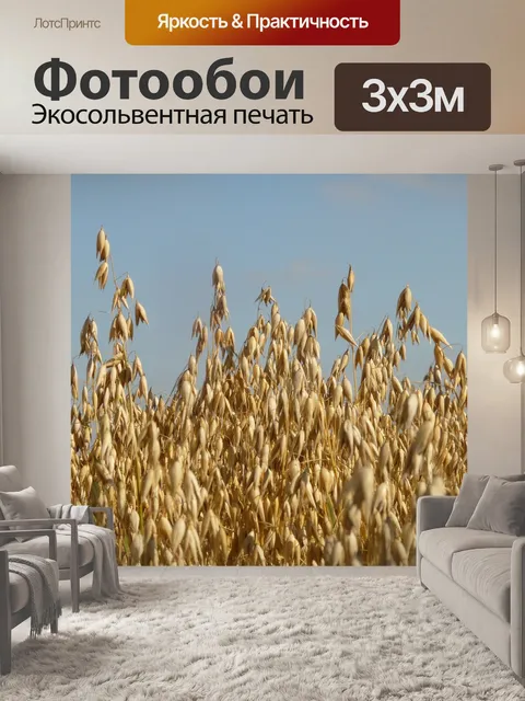 Фотообои Поле