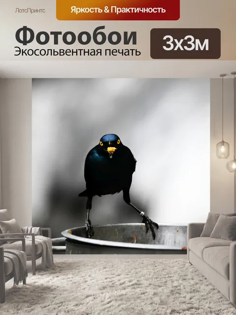 Фотообои Большой голубоухий скворец