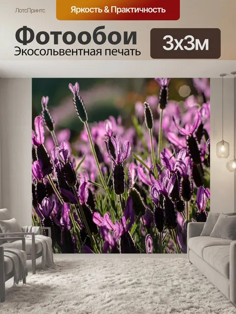 Фотообои Лаванда