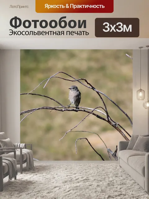 Фотообои Птица