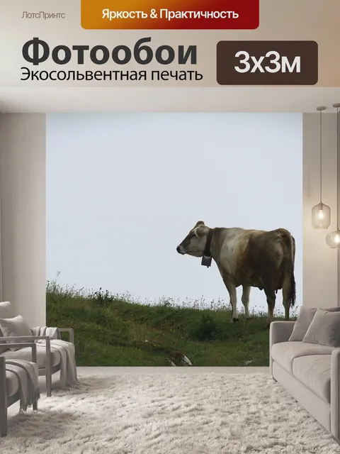 Фотообои Туман