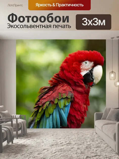 Фотообои Птица