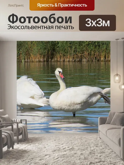 Фотообои Лебеди