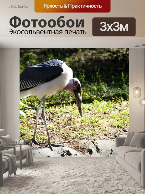 Фотообои аист