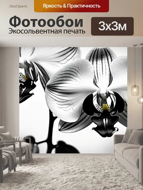 Фотообои с орхидеей чернобелый