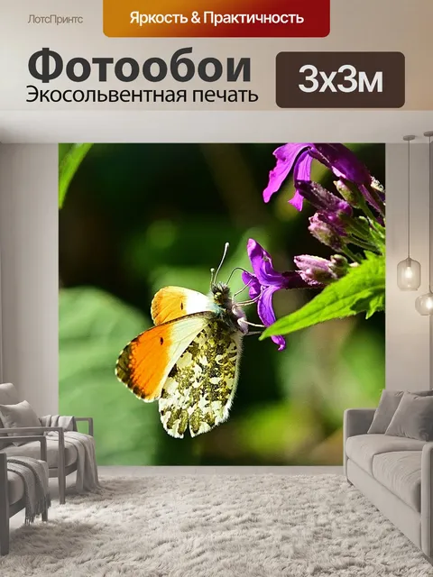 Фотообои Лес
