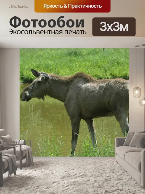 Фотообои Швеция